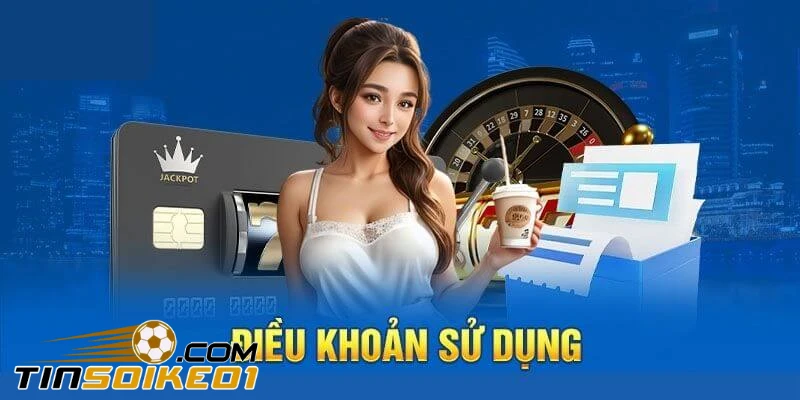 Điều khoản sử dụng của tintuc24.info